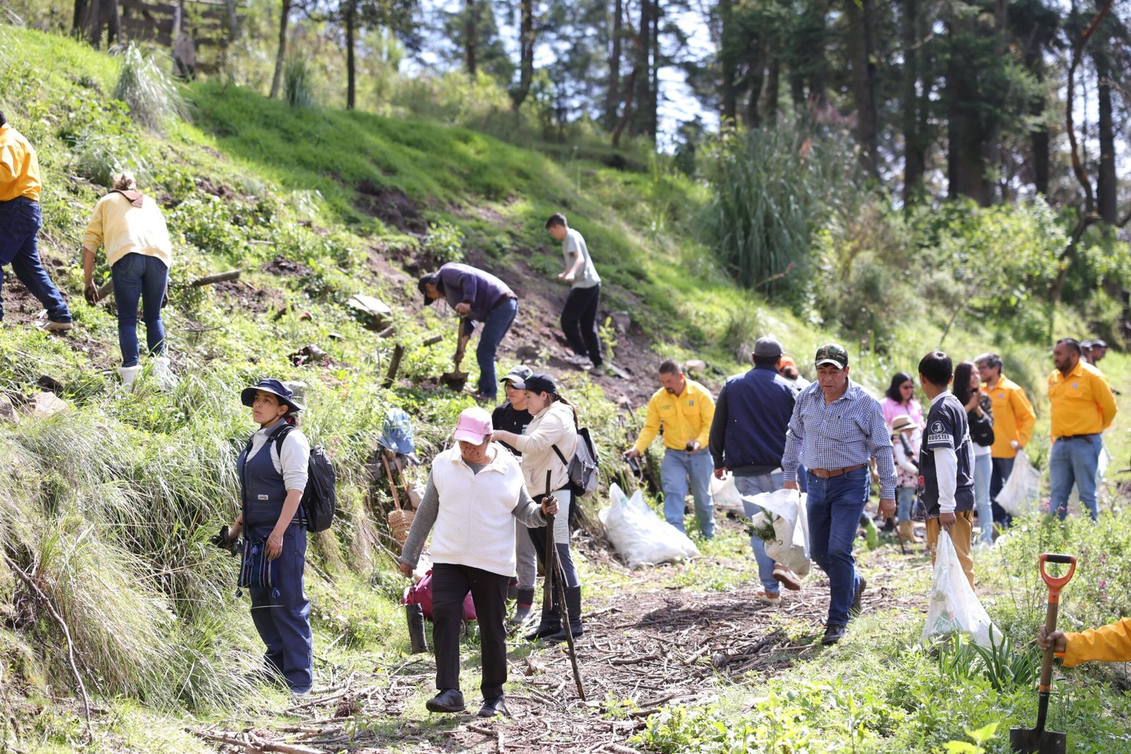 SUPERA HUIXQUILUCAN META DE REFORESTAR 20 MIL ÁRBOLES EN 2025