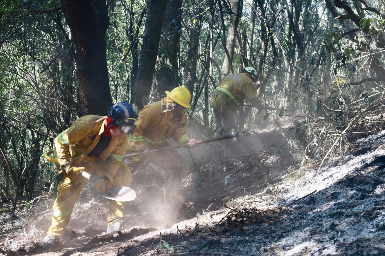 CREA HUIXQUILUCAN MÁS DE 27 MIL METROS CUADRADOS DE BRECHAS CORTAFUEGO PARA COMBATIR INCENDIOS FORESTALES