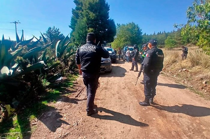 Entrada sin título 1162